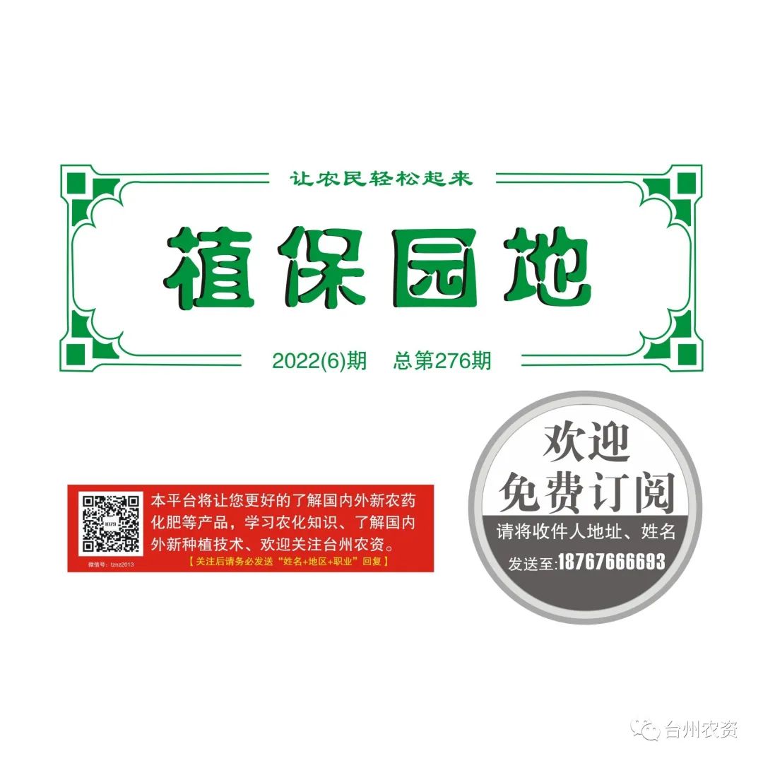 梅雨季節(jié)來臨，柑橘即將穩(wěn)果，注意管理好夏梢，合理施肥打藥