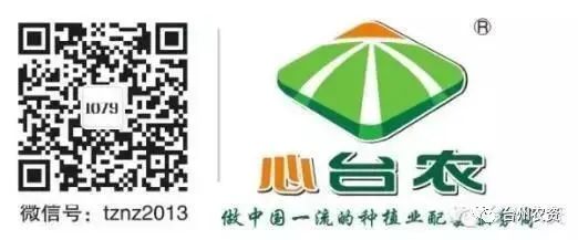 果實(shí)接近成熟，警惕柑橘表面各種油胞病